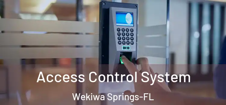 Access Control System Wekiwa Springs-FL