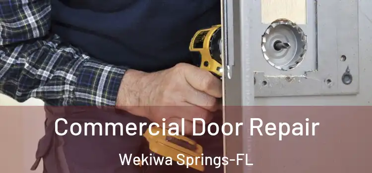 Commercial Door Repair Wekiwa Springs-FL
