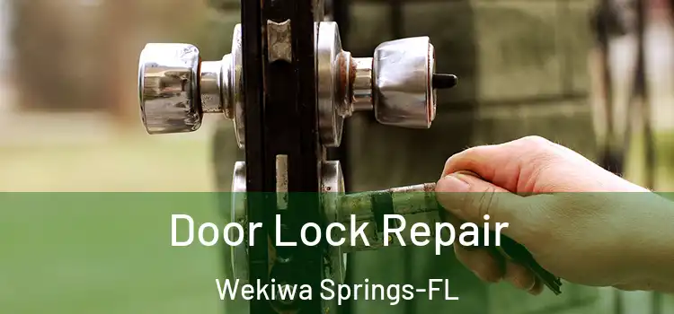 Door Lock Repair Wekiwa Springs-FL