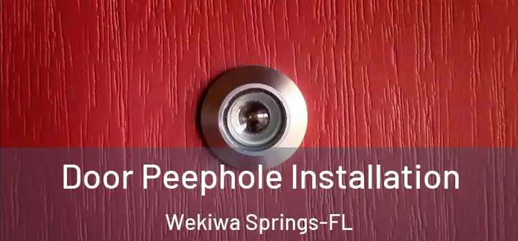  Door Peephole Installation Wekiwa Springs-FL