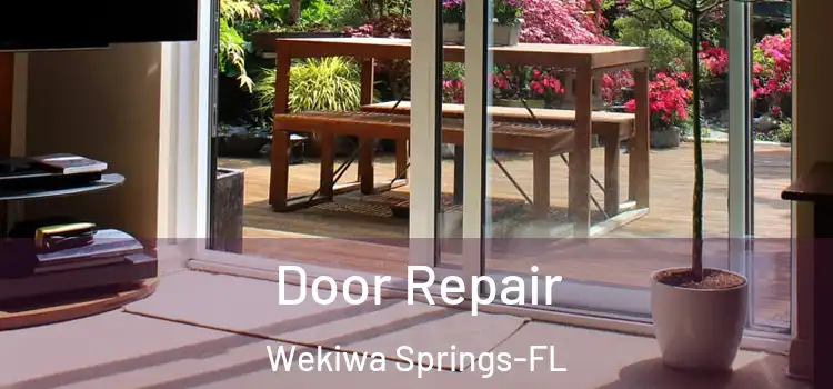  Door Repair Wekiwa Springs-FL
