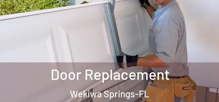  Door Replacement Wekiwa Springs-FL