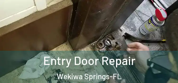  Entry Door Repair Wekiwa Springs-FL