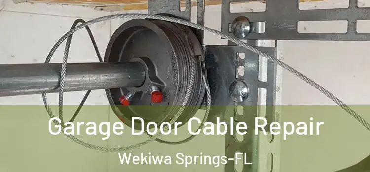 Garage Door Cable Repair Wekiwa Springs-FL