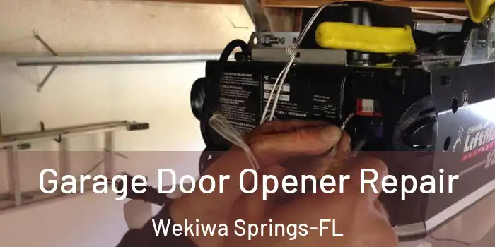 Garage Door Opener Repair Wekiwa Springs-FL