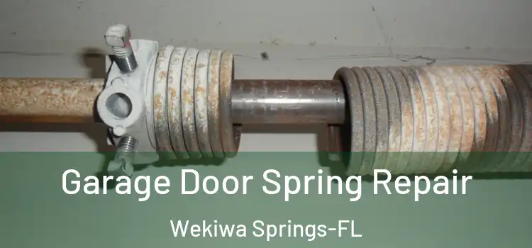 Garage Door Spring Repair Wekiwa Springs-FL