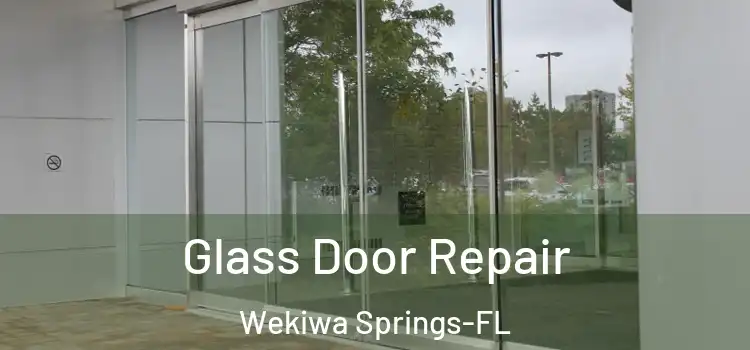 Glass Door Repair Wekiwa Springs-FL