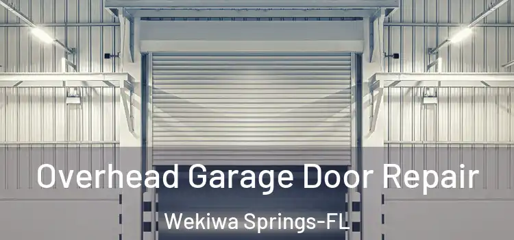 Overhead Garage Door Repair Wekiwa Springs-FL