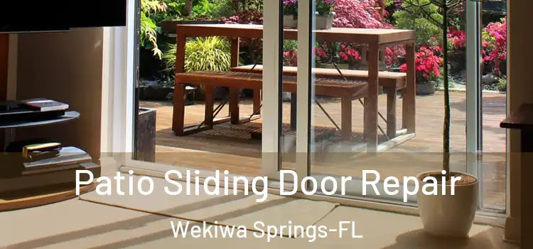  Patio Sliding Door Repair Wekiwa Springs-FL