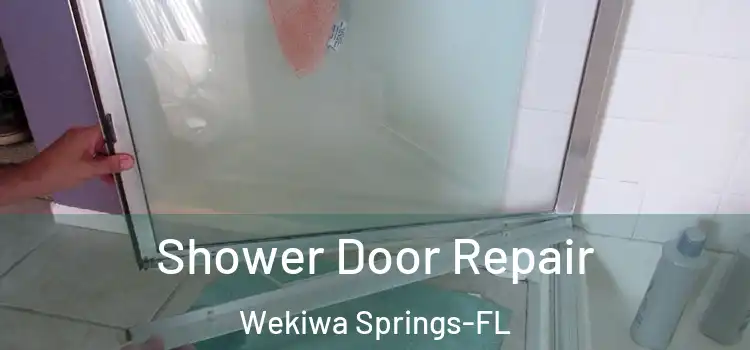 Shower Door Repair Wekiwa Springs-FL