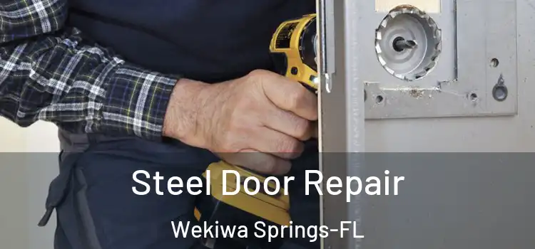  Steel Door Repair Wekiwa Springs-FL