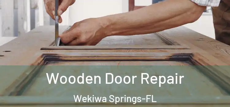  Wooden Door Repair Wekiwa Springs-FL